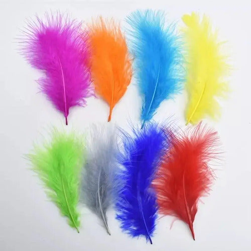 Plumas Decorativas Artificiales Multicolor Paquete X 20