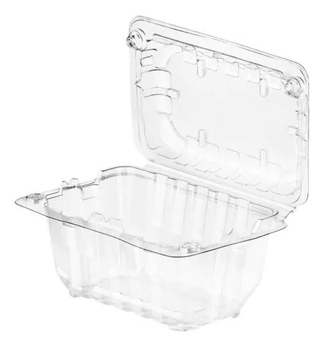 Contenedor Plástico Airpack 1/2 Libra X 12 Unidades Transparente Con Perforaciones