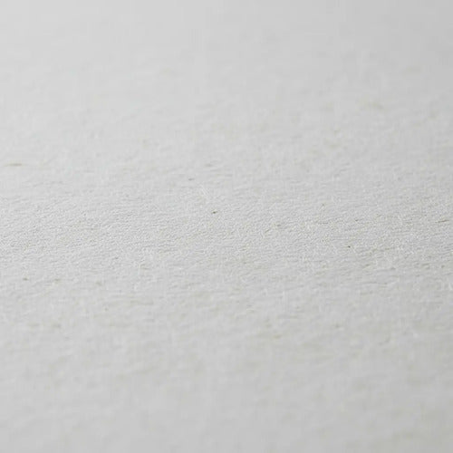 Resma De Papel Reprograft Media Carta X 1.000 Pcs Blanco