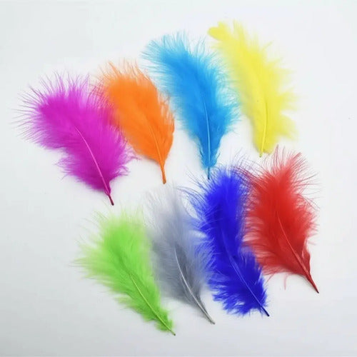 Plumas Decorativas Artificiales Multicolor Paquete X 100