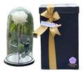 Rosa Preservada Cúpula Vidrio Y Caja Regalo Color Blanco Blanco