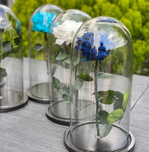 Rosa Preservada Cúpula Vidrio Caja Regalo Color Azul Oscuro Azul Oscuro