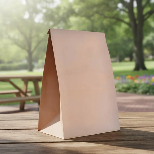 Bolsa Papel Kraft Sin Manija 90gr  25.5x31x17cm X 12 Pcs Kraft Bolsa Sin Manija