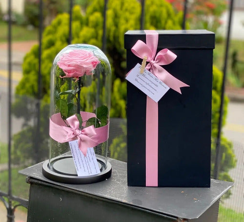 Rosa Preservada Cúpula Vidrio Caja Regalo Color Rosado Rosado