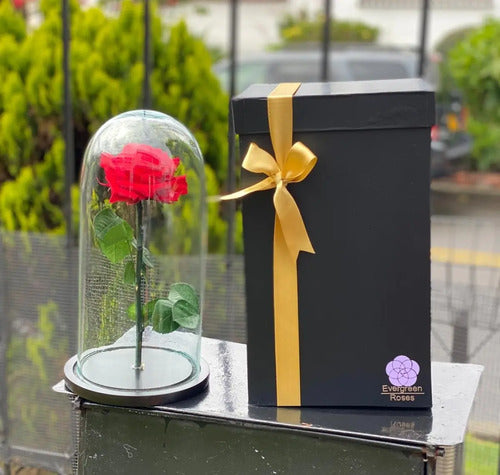 Rosa Preservada Cúpula Vidrio Y Caja Regalo Color Rojo Rojo