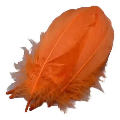 Plumas Decorativas Artificiales Color Naranja Paquete X 100 Naranja