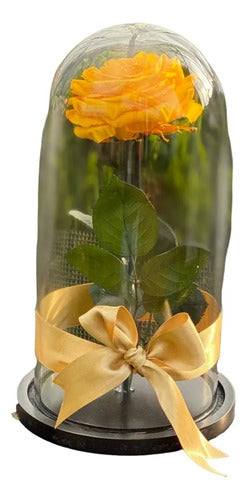 Rosa Preservada Regalo Cúpula Vidrio Color Amarilla Amarilla