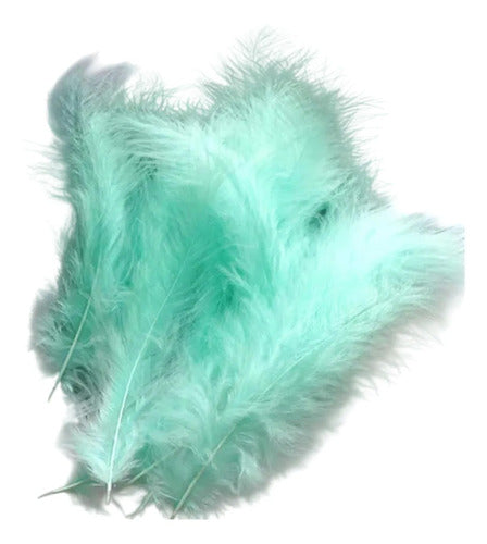 Plumas Decorativas Artificial Color Verde Menta Paquete X100 Verde Menta