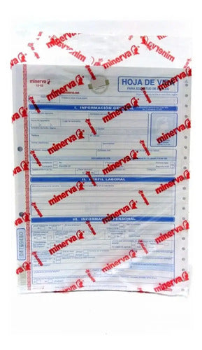 Hoja De Vida Minerva Paquete X 5 Unidades
