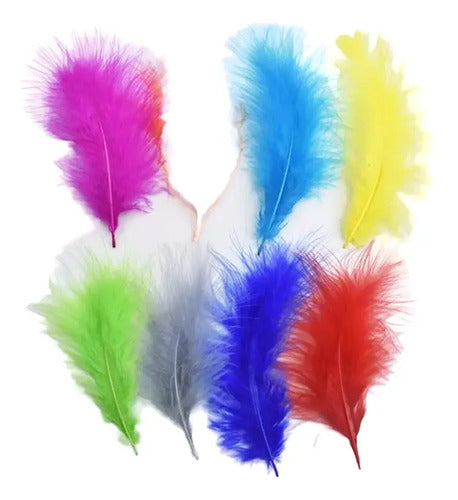 Plumas Decorativas Artificiales Multicolor Paquete X 20