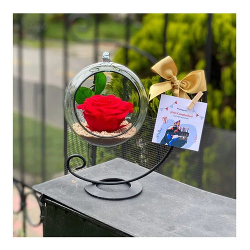 Rosa Preservada Rojo Regalo Soporte + Burbuja De Cristal Rojo