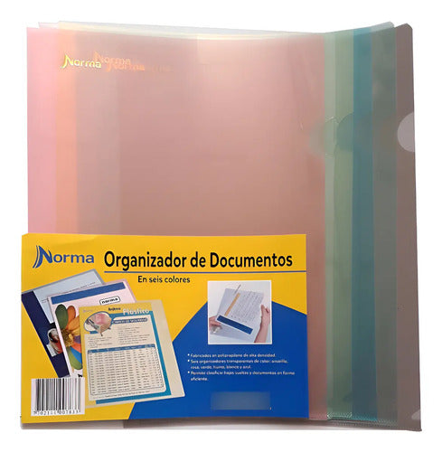 Organizador De Documentos Carta Norma X 6 Unidades Surtido