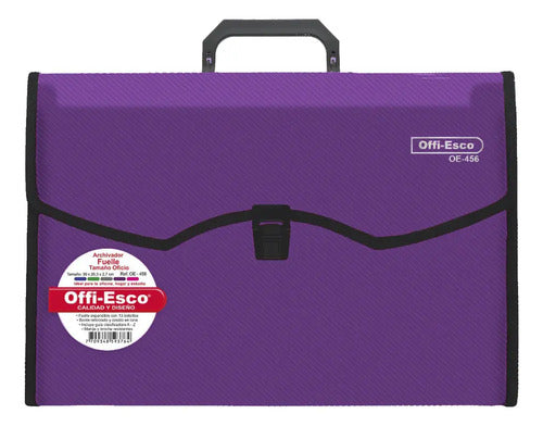 Archivador Carpeta Fuelle 13 Bolsillos 39 X 26 X 2.7 Cm