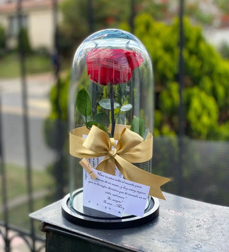 Regalo Amor Amistad Rosa Eterna