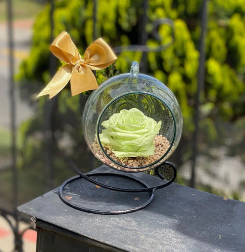 Rosa Preservada Verde Menta + Soporte + Burbuja De Cristal Verde Menta