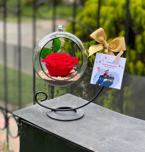 Rosa Preservada Rojo Regalo Soporte + Burbuja De Cristal Rojo