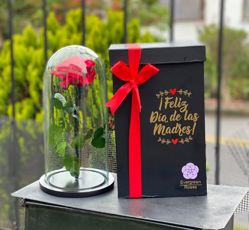 Rosa Preservada Regalo Cúpula Vidrio Rojo Dia De La Madre  Rojo
