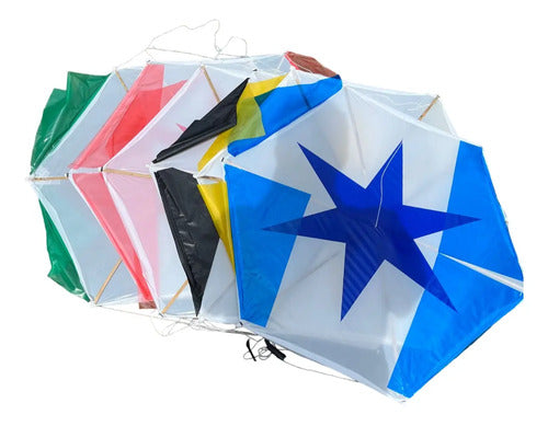 Cometa Pandero Plástica 65cm + Pita Según Disponibilidad Plastica