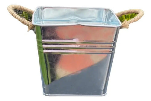 Caja Decorativa Cubeta Metalica Jardin/regalo 14x14x13 Cm Metal Cubeta