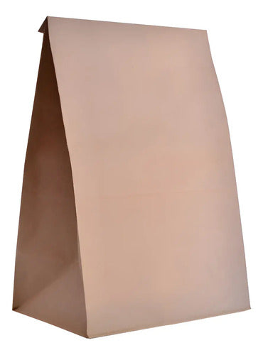 Bolsa Papel Kraft Sin Manija 90gr  25.5x31x17cm X 12 Pcs Kraft Bolsa Sin Manija