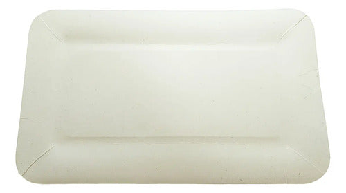 Plato Papel Ecológico Rectangular Blanco 15x21cm X 20 Und Blanco