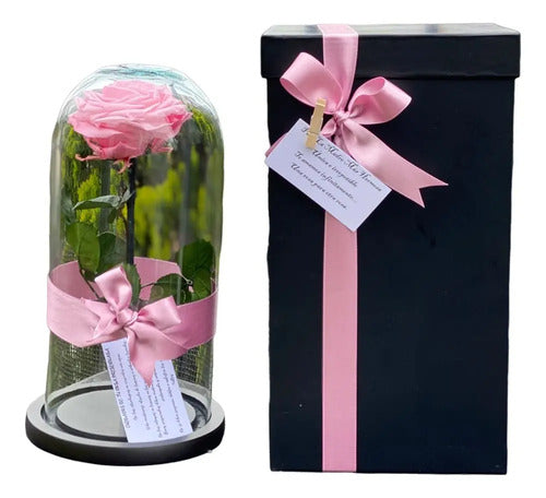 Rosa Preservada Cúpula Vidrio Caja Regalo Color Rosado Rosado