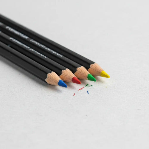 Lápiz Staedtler Graso X6 Varios