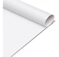 Papel Cartulina Pliegos X 5 Unidades Blanco Blanco
