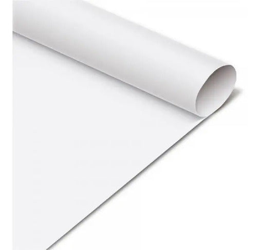 Papel Cartulina Pliegos X 5 Unidades Blanco Blanco