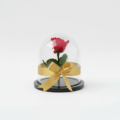 Rosa Mini Preservada Regalo Cúpula Vidrio Color Rojo Rojo