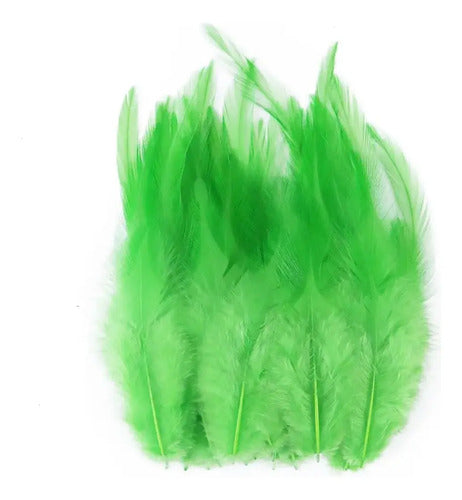 Plumas Decorativas Artificiales Verde Biche Paquete X 20
