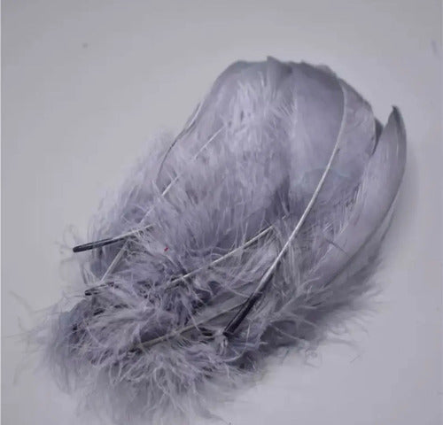 Plumas Decorativas Artificiales Color Gris Paquete X 20
