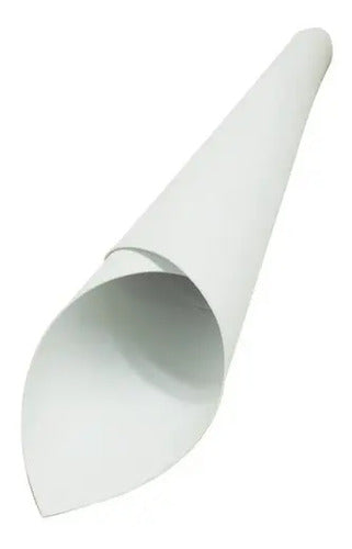 1 Pliego Papel Foami Blanco