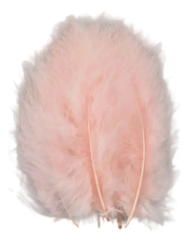 Plumas Decorativas Artificiales Color Piel Paquete X 20