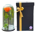 Rosa Preservada Cúpula Vidrio Y Caja Regalo Color Naranja Naranja Rosa