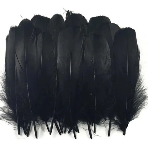Plumas Decorativas Artificiales Color Negro Paquete X 20