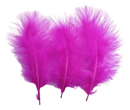 Plumas Decorativas Artificiales Color Fucsia Paquete X 20