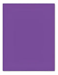 Cartulina Iris Color Morado 1/8 X 10 Hojas Morado Iris