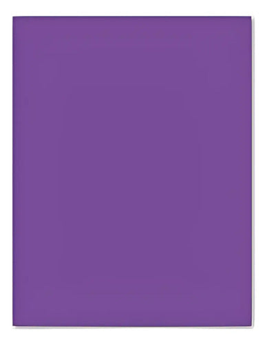 Cartulina Iris Color Morado 1/8 X 10 Hojas Morado Iris