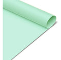 Papel Cartulina Pliegos X 5 Unidades Verde Verde