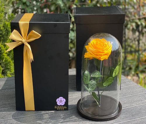 Rosa Preservada Cúpula Vidrio Y Caja Regalo  Segun Disponibilidad