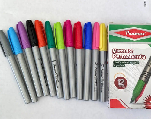 Marcador Permanente Punta Fina Penmax X 12 Colores