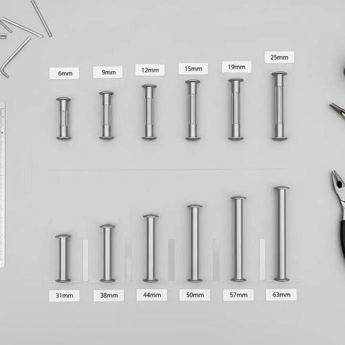 Poste Tornillo Aluminio Para Catalogo 1 In 2.5cm X  12 Pcs