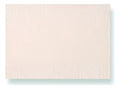 Cartulina Acuarela 240gr Tamaño 1/4 X 10 Hojas Beige Acuarela