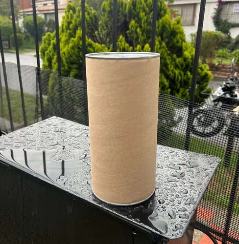 Alcancía Grande De Cartón Kraft X 50 Unidades Alcancia Kraft