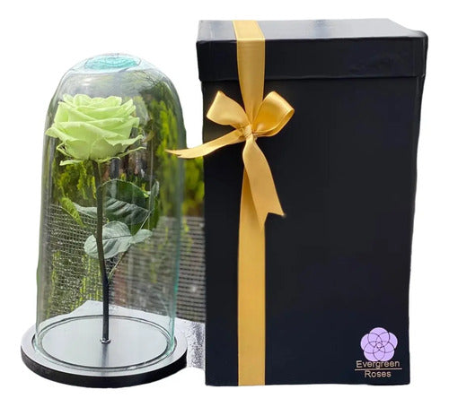 Rosa Preservada Cúpula Vidrio Caja Regalo Color Verde Menta Verde Menta