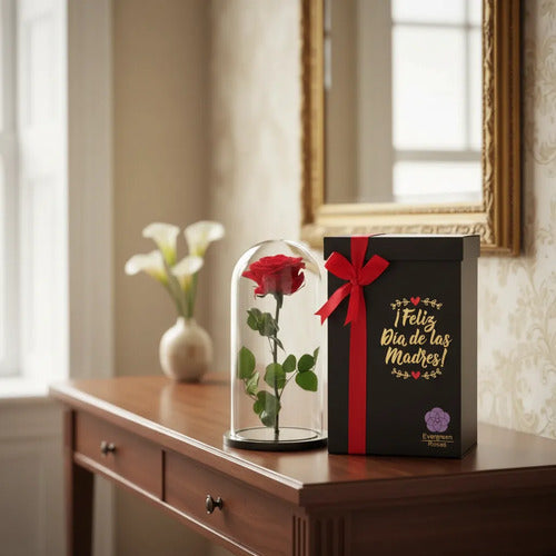 Rosa Preservada Regalo Cúpula Vidrio Rojo Dia De La Madre  Rojo