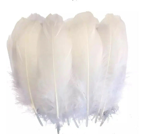 Plumas Decorativas Artificiales Color Blanco Paquete X 100 Blanco