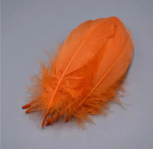 Plumas Decorativas Artificiales Color Naranja Paquete X 20