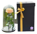 Rosa Preservada Cúpula Vidrio Caja Regalo Color Salmon Salmón